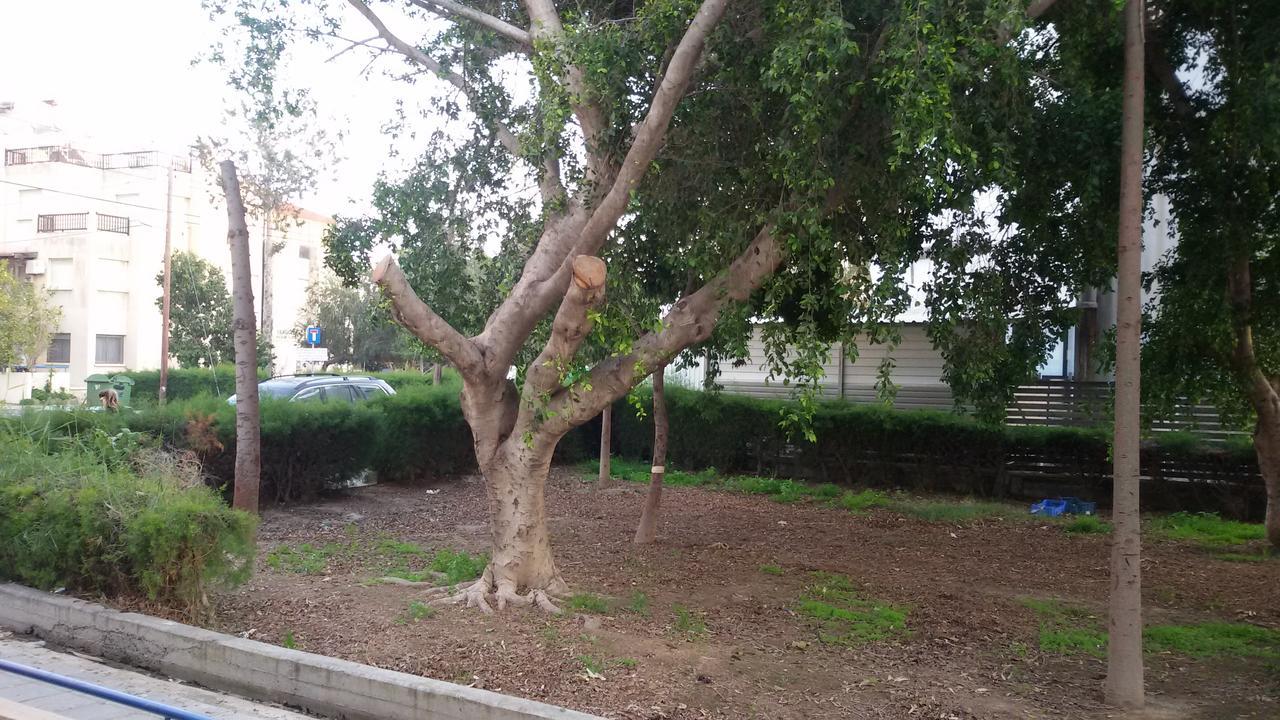 Lca2 Flat For You Apartment Larnaca Bagian luar foto
