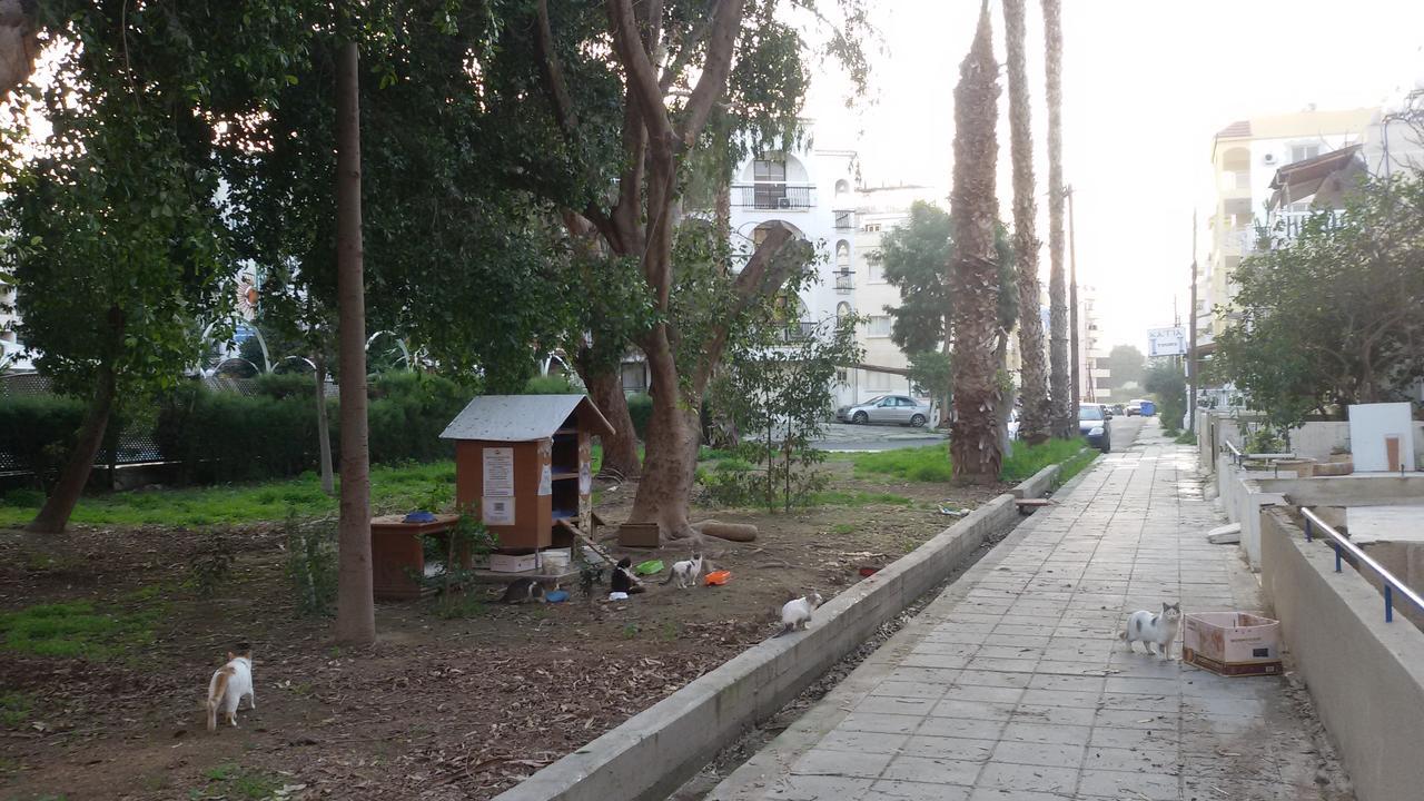 Lca2 Flat For You Apartment Larnaca Bagian luar foto